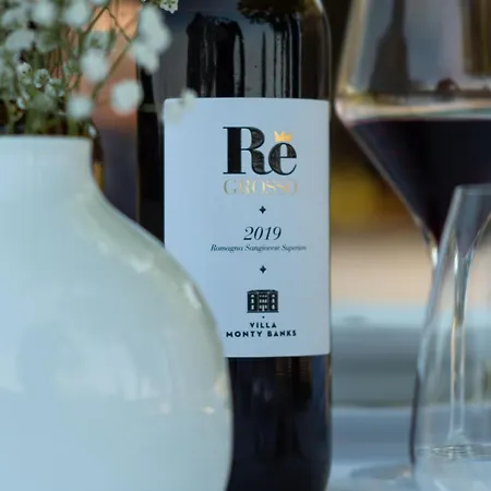 Вилла Boutique Monty Banks *