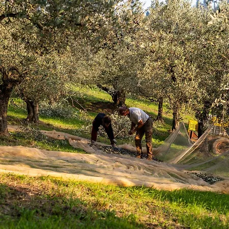 Boutique Monty Banks * Cesena