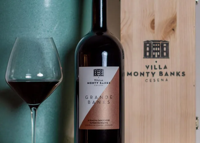 فيلة Boutique Monty Banks تشيزينا