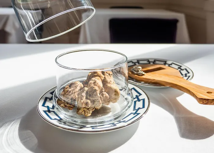 فيلة Boutique Monty Banks *