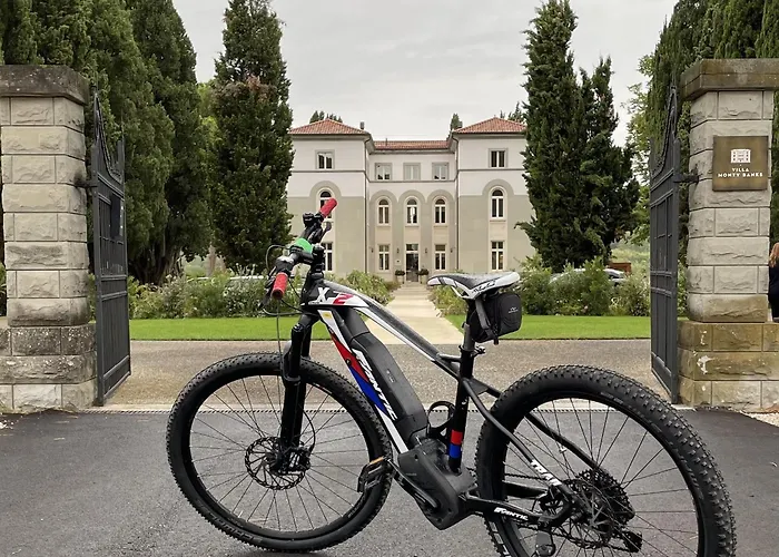 Boutique Monty Banks