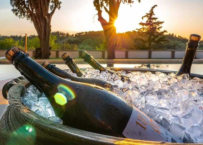 فيلة Boutique Monty Banks