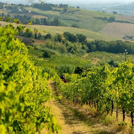 Boutique Monty Banks Villa *