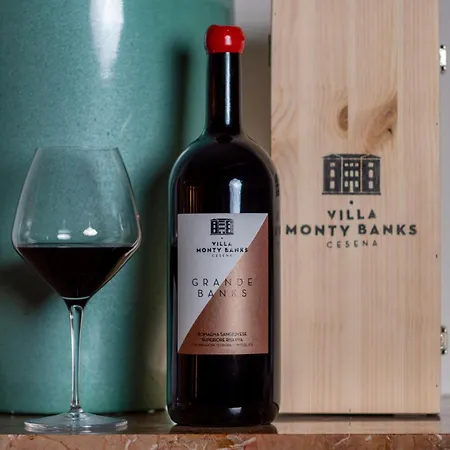 Villa Boutique Monty Banks Cesena