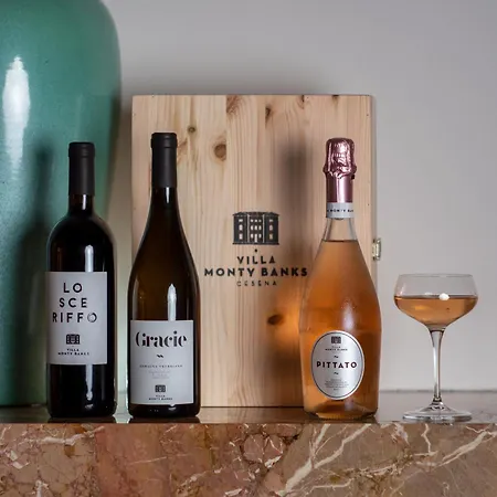 Villa Boutique Monty Banks Cesena