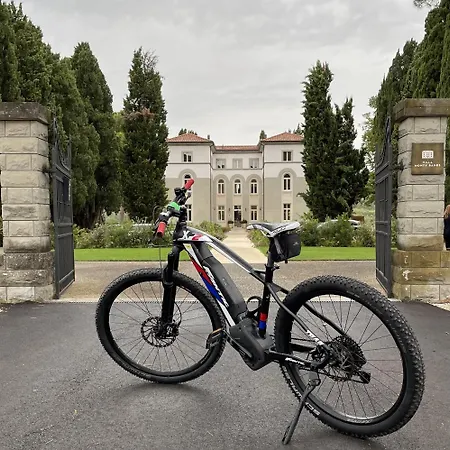 Boutique Monty Banks