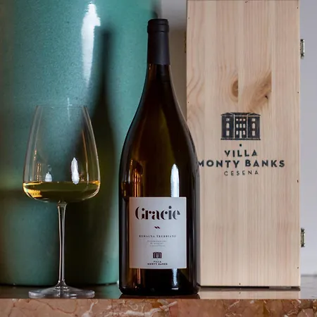 Villa Boutique Monty Banks Cesena