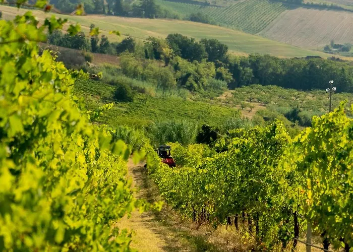 Boutique Monty Banks Villa *