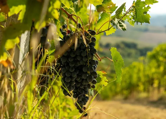 Villa Boutique Monty Banks Cesena