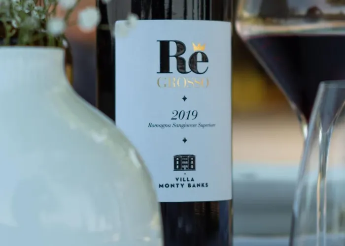 Villa Boutique Monty Banks *