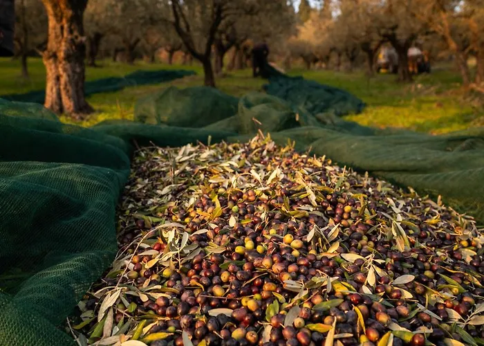 Boutique Monty Banks Βίλα Τσεζένα