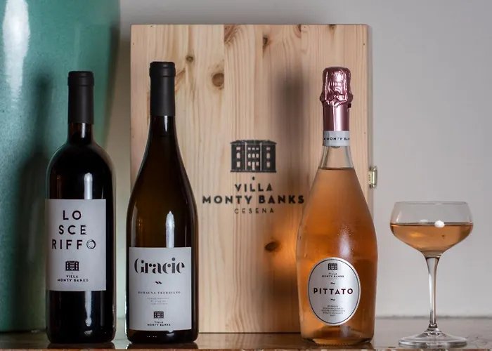 Βίλα Boutique Monty Banks Τσεζένα