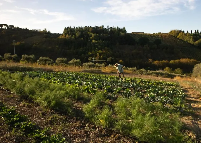 Boutique Monty Banks *