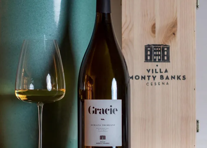 Βίλα Boutique Monty Banks Τσεζένα